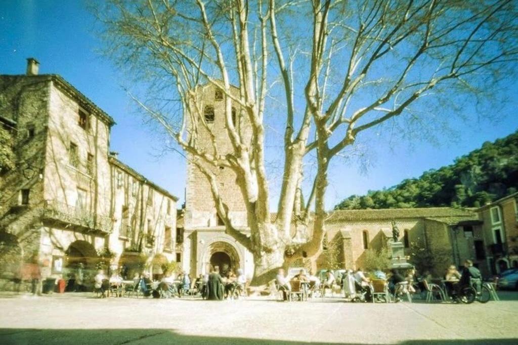 Le St Guilhem Saint-Guilhem-le-Desert